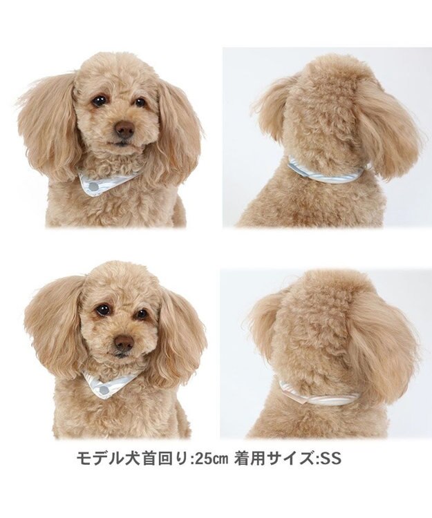 PET PARADISE ペットパラダイス 28℃ クールリング 【ＳＳ】 《 水色 / ベージュ》 水色 ＳＳ