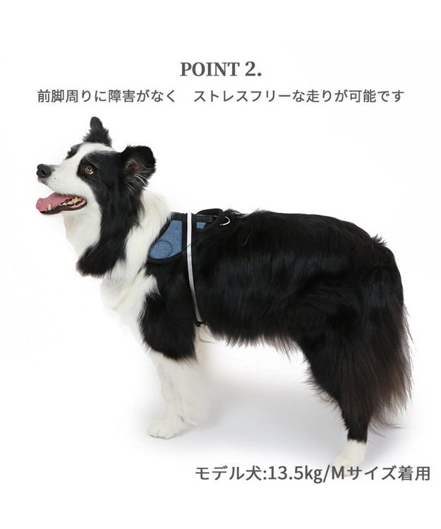 PET PARADISE ヘッドインハーネス 【Ｌ】 オレンジ / ブルー  【大型犬】 ブルー×ブラウン