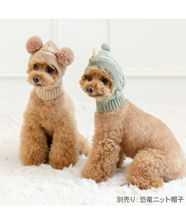 PET PARADISE ペットパラダイス くまちゃん ニット 帽子 小型犬 ベージュ