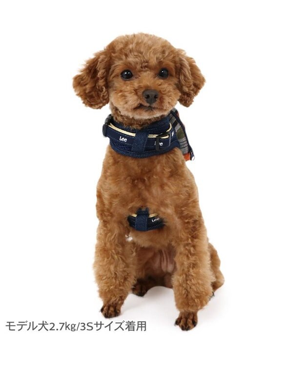 PET PARADISE Lee ポケットハーネス 《チェック柄》 ３Ｓ 小型犬 オレンジ