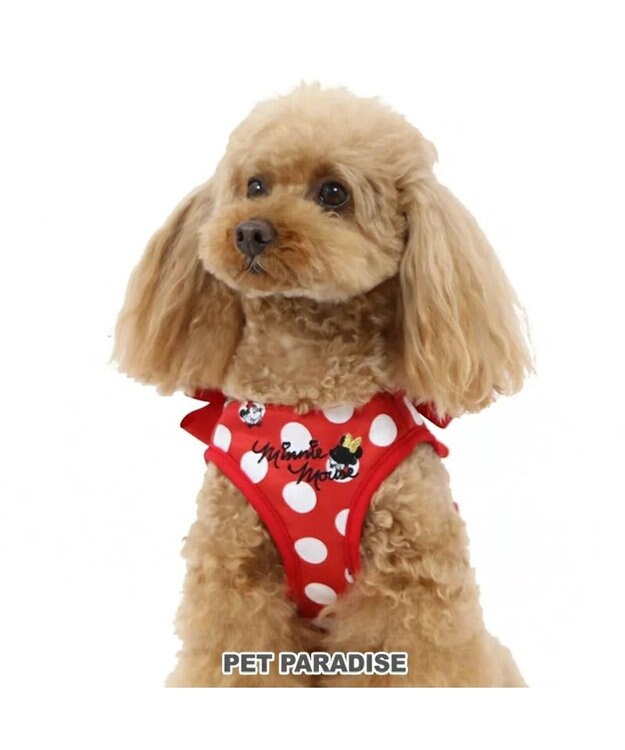 PET PARADISE  ディズニー ミニーマウス  ベストハーネス  《水玉柄》４Ｓ  超小型犬 小型犬 赤