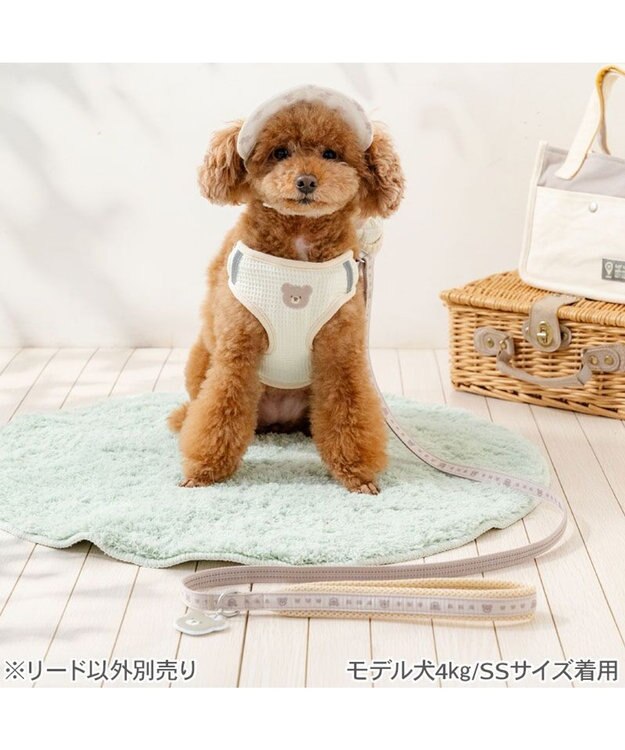 PET PARADISE ペットパラダイス くまちゃん チャームリード ４Ｓ～３Ｓ ベージュ