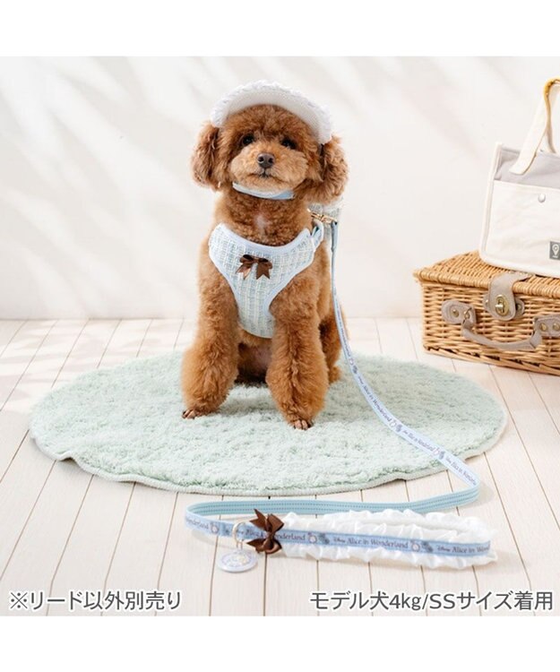 PET PARADISE ディズニー アリス フリルリード ４Ｓ～３Ｓ ブルー