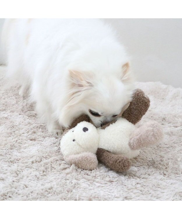 PET PARADISE ペットパラダイス わんさん トイ 小型犬 わんさん