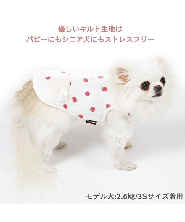 犬服ハンドメイド カルピスちゃん - 犬用品