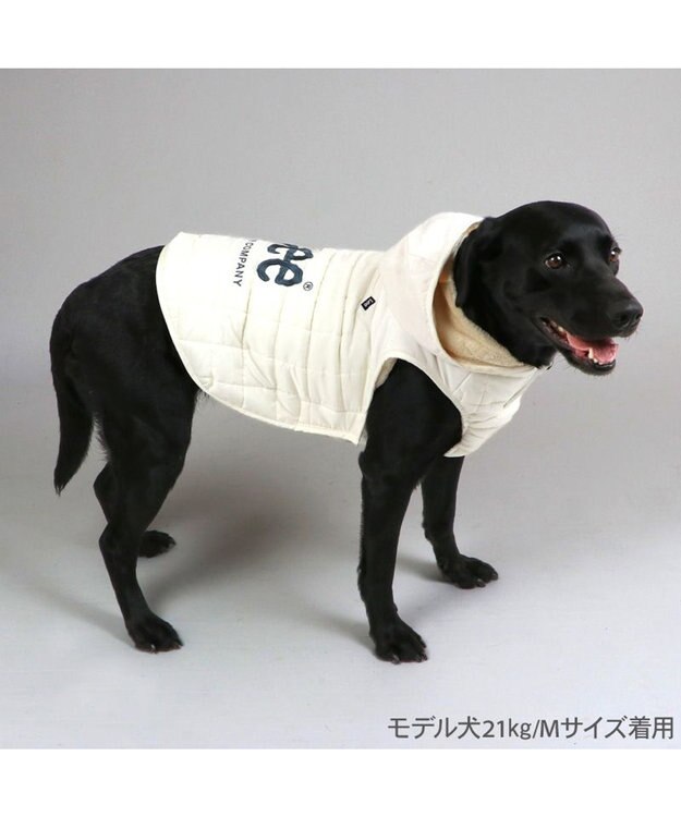 PET PARADISE Lee スクエアＱ 綿入ベスト 中型犬 大型犬 ホワイト