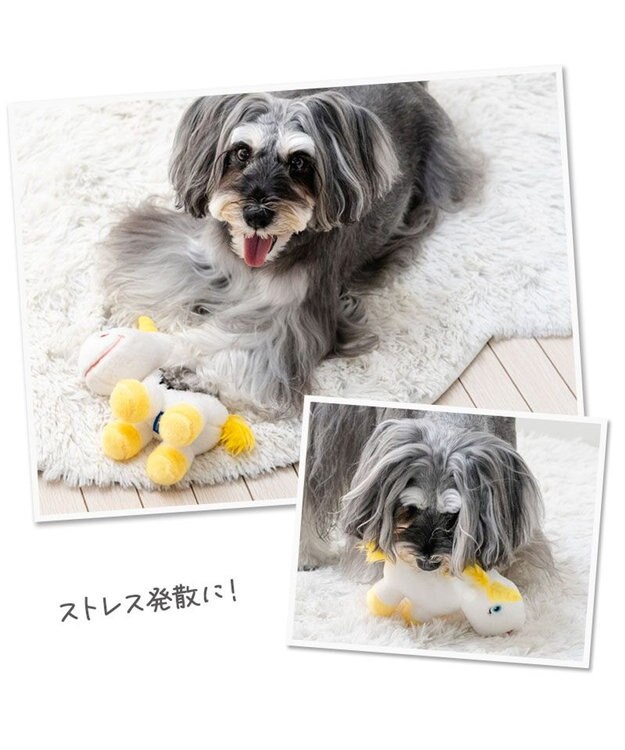 PET PARADISE ディズニー トイ・ストーリー バターカップ トイ ホワイト