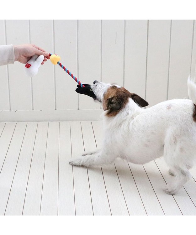 PET PARADISE リサとガスパール お友達 ロープ トイ 0