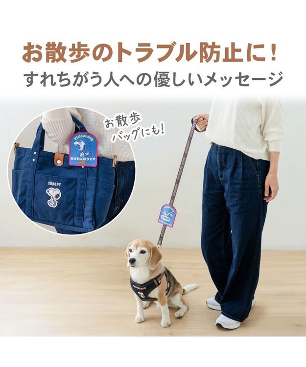 PET PARADISE スヌーピー メッセージ ワッペン  《あばれんぼう》 あばれんぼ