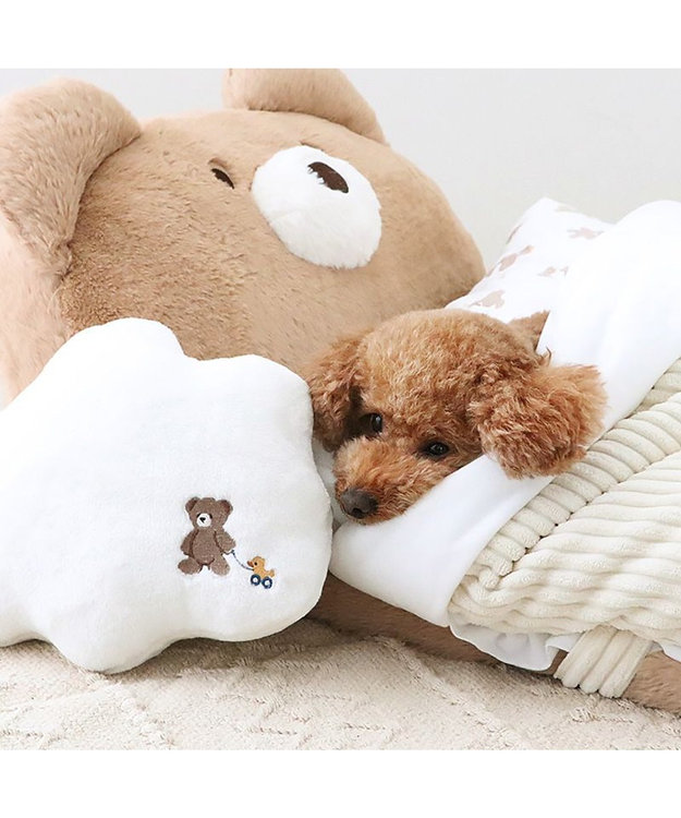 ペットパラダイス 王冠くまちゃん 折り畳み ベッド / PET