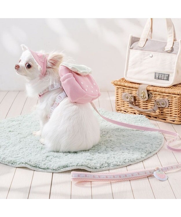 PET PARADISE ペットパラダイス 花苺柄 リード ４Ｓ～３Ｓ ピンク