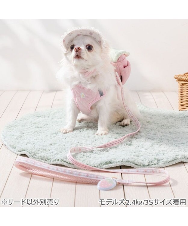 PET PARADISE ペットパラダイス 花苺柄 リード ４Ｓ～３Ｓ ピンク