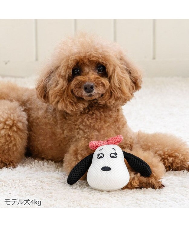 PET PARADISE スヌーピー デンタルトイ 《ベル》 ホワイト