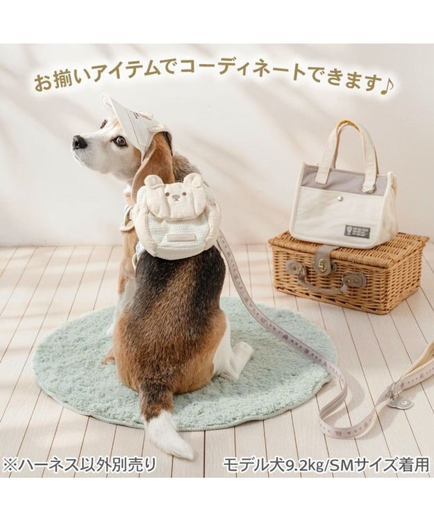PET PARADISE ペットパラダイス くまちやん リュックハーネス Ｍ ホワイト