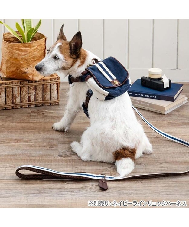 PET PARADISE ペットパラダイス ネイビー ライン入り リード ４Ｓ～３Ｓ 小型犬 ホワイト×ネイビー