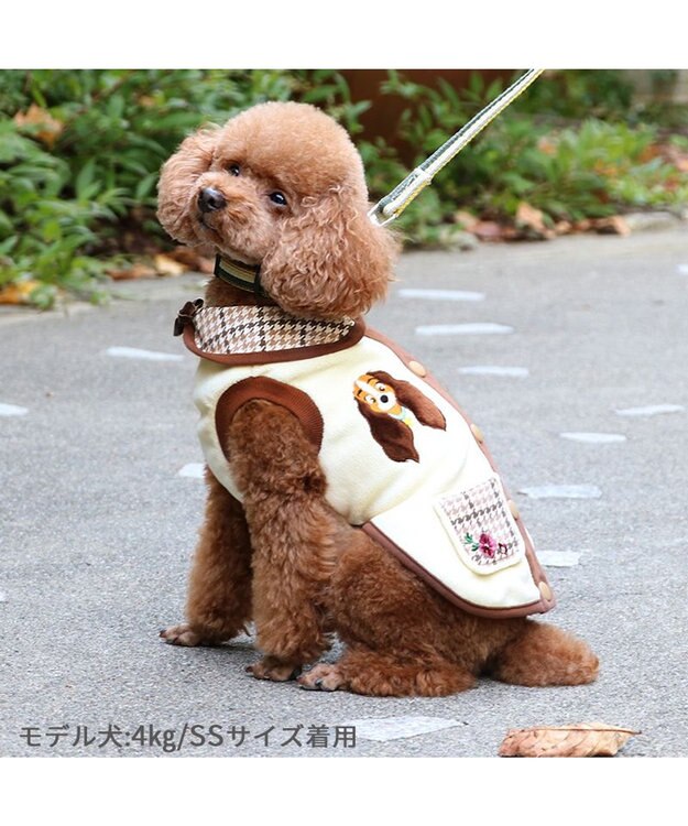 ディズニー わんわん物語 背開きベスト 《レディー》小型犬