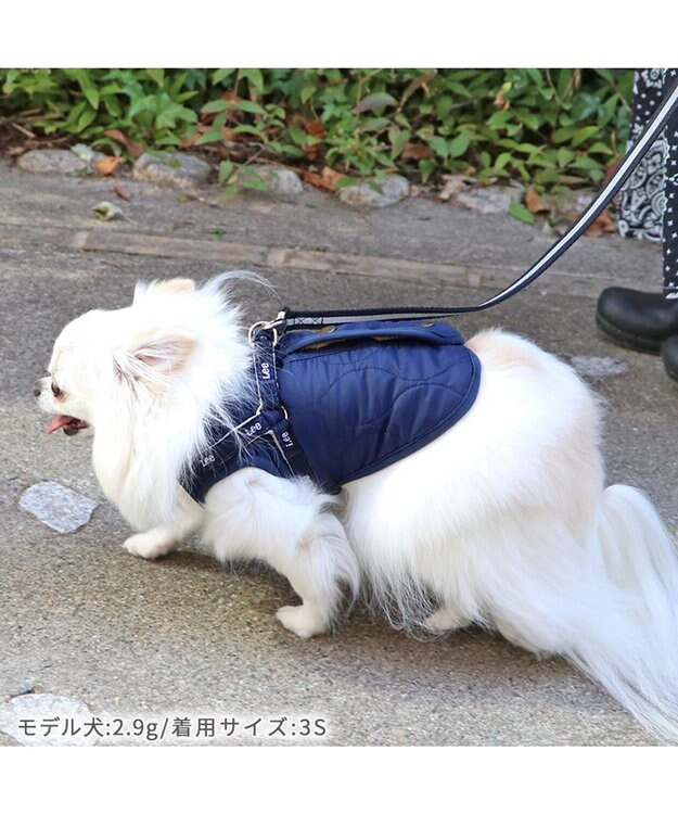 PET PARADISE Lee アウター ハーネス ベスト 小型犬 紺（ネイビー・インディゴ）