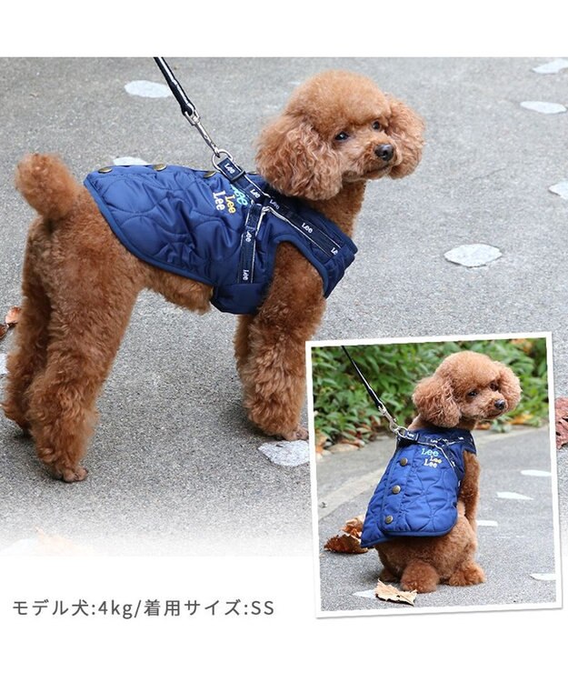 PET PARADISE Lee アウター ハーネス ベスト 小型犬 紺（ネイビー・インディゴ）