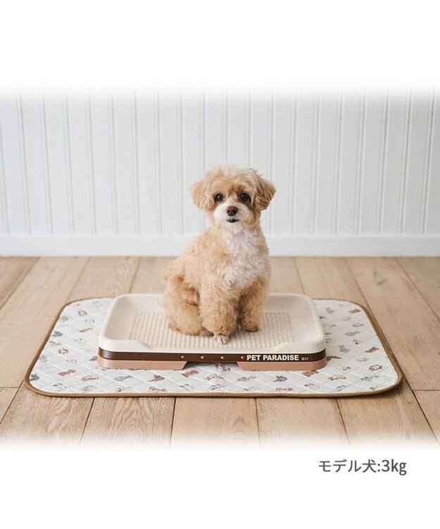 PET PARADISE ペットパラダイス makokoro 吸水マルチマット 《わんちゃん柄》 ホワイト