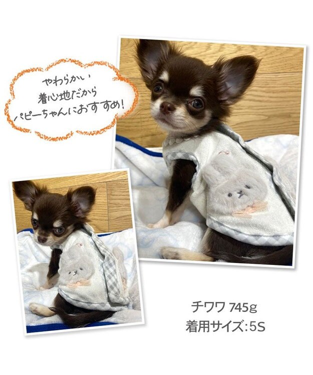 PET PARADISE 犬の服 犬 うさぎ 背中開き タンクトップ 【小型犬】 うさちゃん サーモキープ 白~オフホワイト