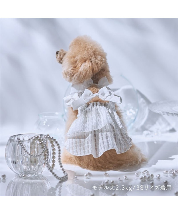 PET PARADISE cherircouture シースルーリボン ワンピース 小型犬 ホワイト