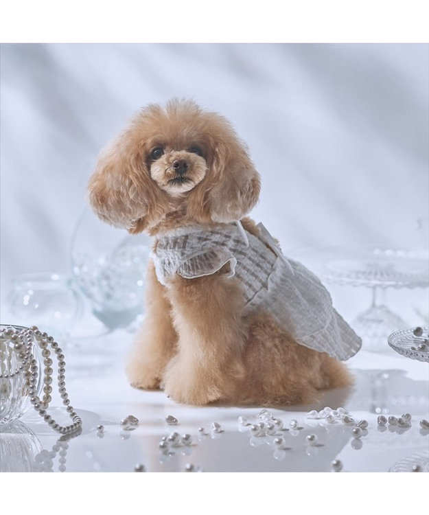 PET PARADISE cherircouture シースルーリボン ワンピース 小型犬 ホワイト
