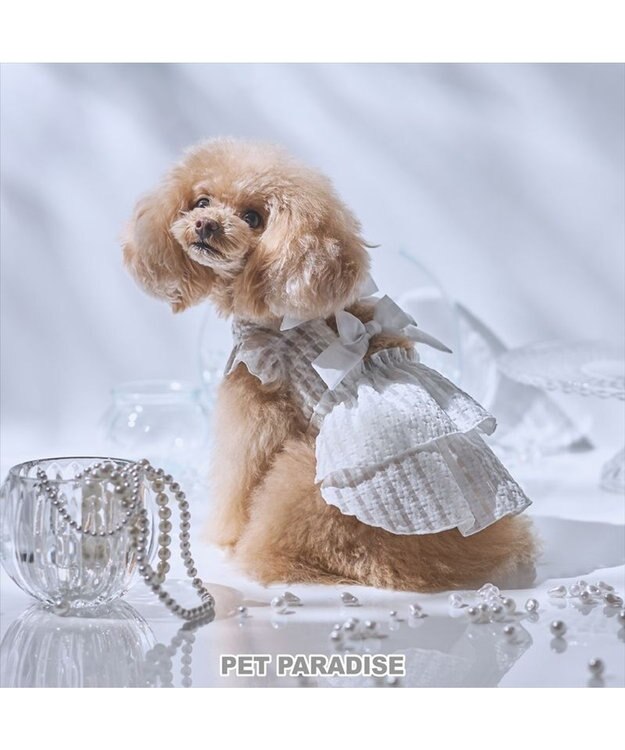 PET PARADISE cherircouture シースルーリボン ワンピース 小型犬 ホワイト