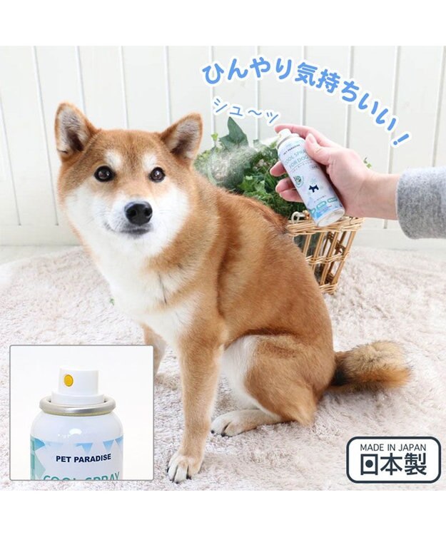 PET PARADISE 犬 愛犬用 ペティ クーリッシュ 100mL ユーカリの香り -