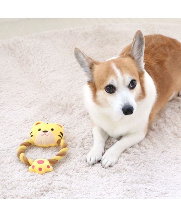 PET PARADISE 犬 おもちゃ トラ ロープおもちゃ  トイ ＴＯＹ 虎 とら お正月 年賀状 干支 音が鳴る ぬいぐるみ ボール ロープ オモチャ 玩具 小型犬 おもちゃ 猫 かわいい おもしろ インスタ映え 黄