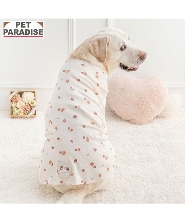 PET PARADISE ペットパラダイス はじめてのタンクトップ 《花苺柄》 中型犬 大型犬 ホワイト×レッド
