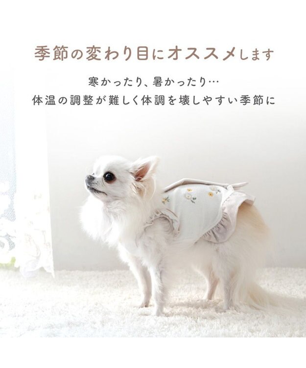 PET PARADISE ペットパラダイス サーモキープ タンクトップ 《ポンポンくまちゃん》 超小型犬 小型犬 オフホワイト