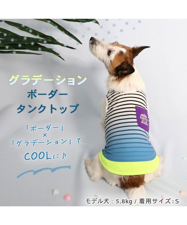 PET PARADISE 犬の服 夏 ひんやり クール メッシュ 接触冷感 虫よけ グラデーション タンクトップ 【小型犬】クールマックスエコメイド 青