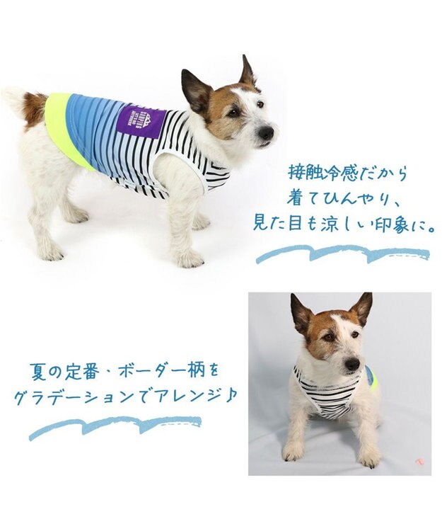 PET PARADISE 犬の服 夏 ひんやり クール メッシュ 接触冷感 虫よけ グラデーション タンクトップ 【小型犬】クールマックスエコメイド 青