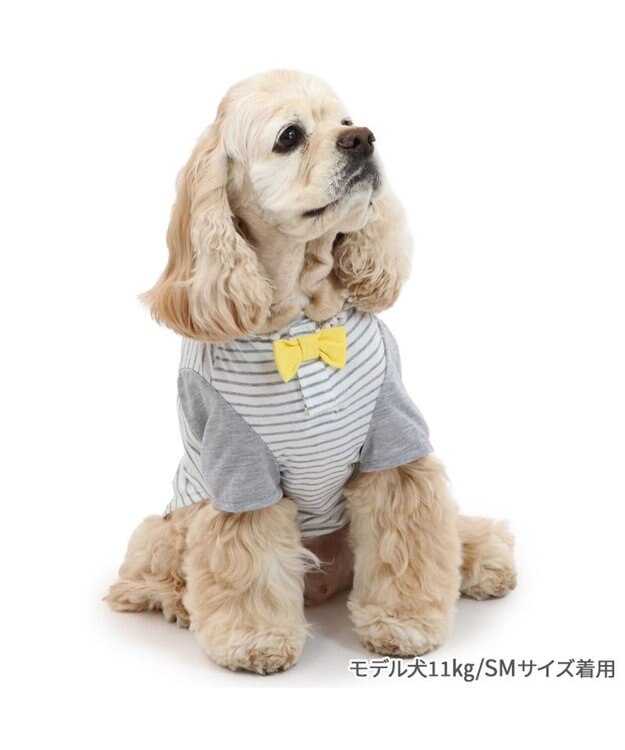 PET PARADISE スヌーピー Tシャツ 《お誕生日 パーティー柄》 中型犬 パーティー柄