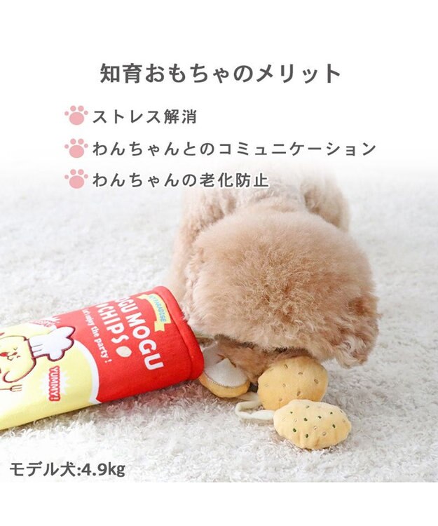 PET PARADISE ペットパラダイス ノーズワーク トイ 《ポテトチップス》 小型犬 レッド