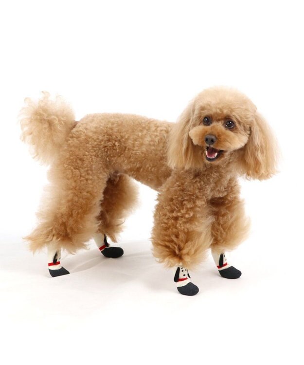 PET PARADISE スヌーピー フィットシューズ 靴下【３Ｓ】 -