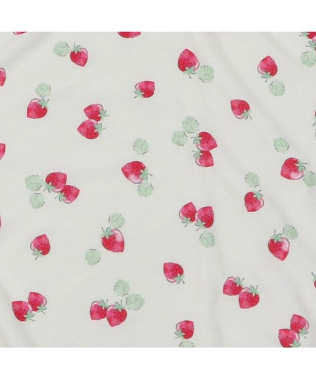 PET PARADISE ペットパラダイス クールブランケット 単品 (90×60cm)  《 苺柄 / ネイティブ柄 》 苺柄