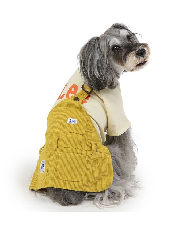 PET PARADISE Lee ワンショルダー スカートつなぎ 小型犬 グリーン