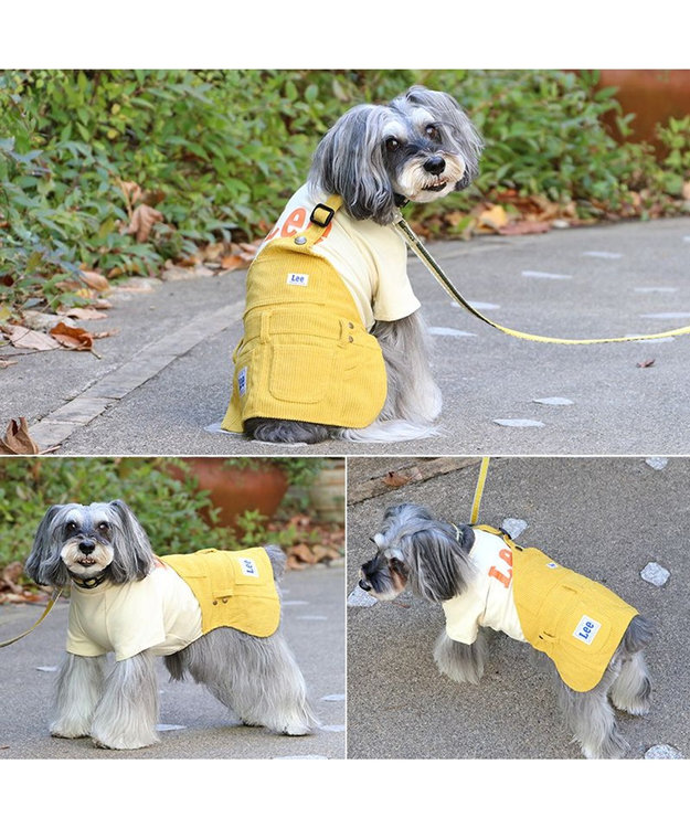 Lee ワンショルダー スカートつなぎ 小型犬 / PET PARADISE