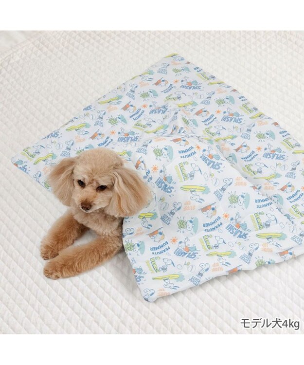 PET PARADISE スヌーピー もちっと クール ブランケット 《サーフ柄》 -