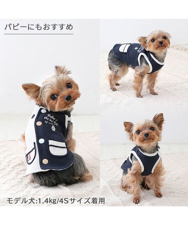 PET PARADISE ペットパラダイス やさしいベスト リバーシブル 《マリン柄》 小型犬 マリン柄