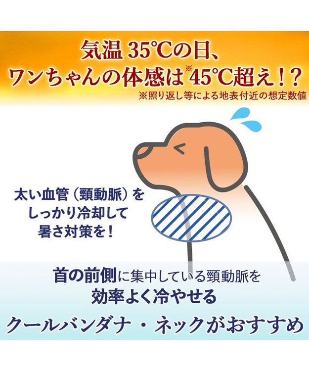 PET PARADISE J.PRESS クールバンダナ 《ストライプ柄》 小型犬 ライトブルー