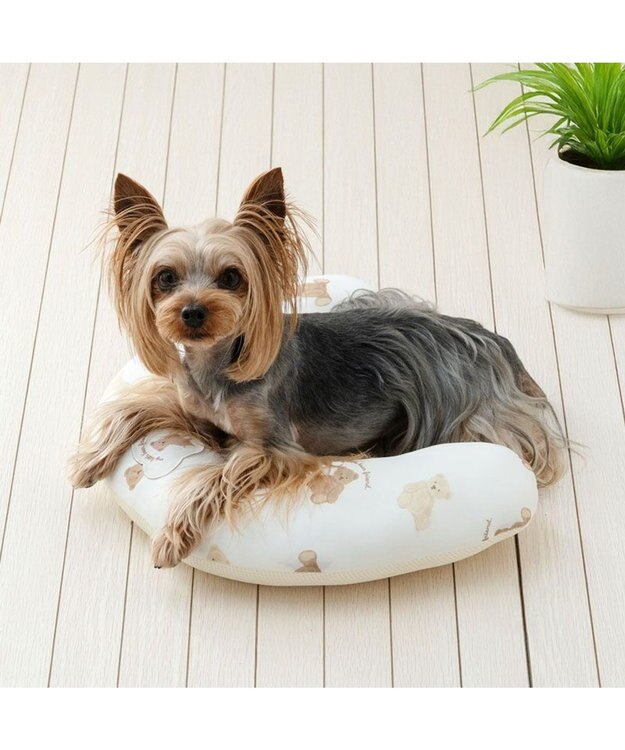 PET PARADISE ペットパラダイス クール ピロー 《くまちゃん》 小型犬 ホワイト×ブラウン