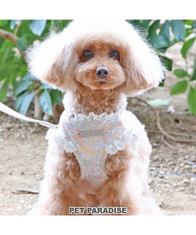 PET PARADISE 犬 ハーネス メッシュ ベスト ハーネス 【Ｓ】 小花柄／マリン 小花柄