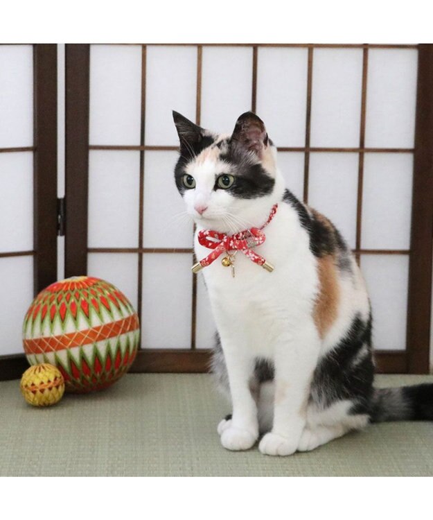 tea mamas　小林、坂本　パペットフェイスサコッシュ tea mamas 小林、坂本 パペットフェイスサコッシュ 楽天市場