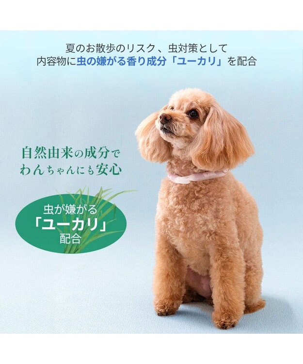 PET PARADISE ペットパラダイス 28℃クールリング 《くま》 ＳＳ 小型犬 くま柄