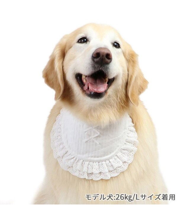 PET PARADISE ペットパラダイス フリルスタイ 中型犬  大型犬 ホワイト