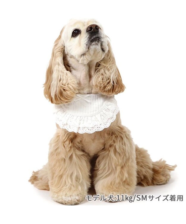 PET PARADISE ペットパラダイス フリルスタイ 中型犬  大型犬 ホワイト