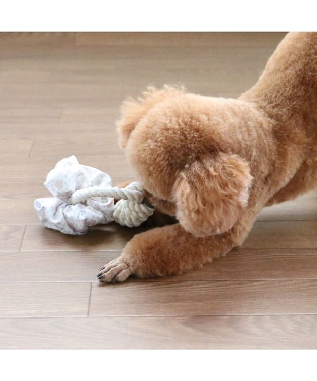 PET PARADISE ペットパラダイス 引っ張り シュシュ トイ  《 花柄 / ドット柄 》 花柄