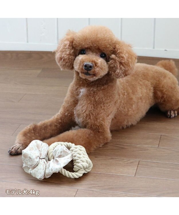 PET PARADISE ペットパラダイス 引っ張り シュシュ トイ  《 花柄 / ドット柄 》 花柄